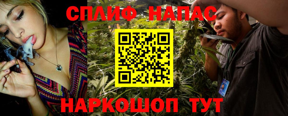Конопля конопля  Канабис гибрид  Елабуга  МАРИХУАНА конопля  Бошки марихуана VHQ  Вход с VPN 